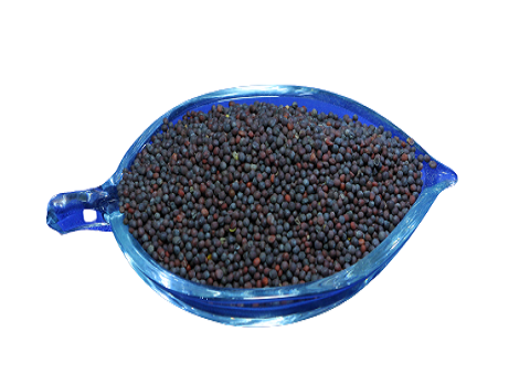 Black Mustard Seed